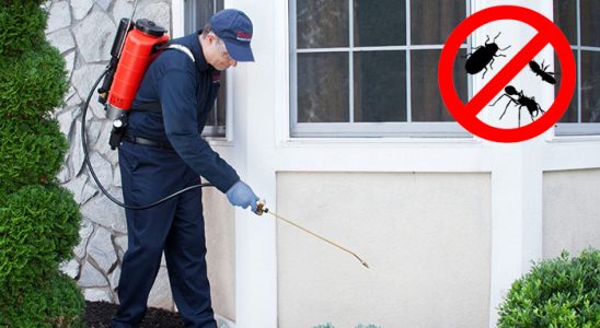 Sarıoğlan Dezenfeksiyon böcek ilaçlama ve haşere kontrolü — ilaclama-tr.com